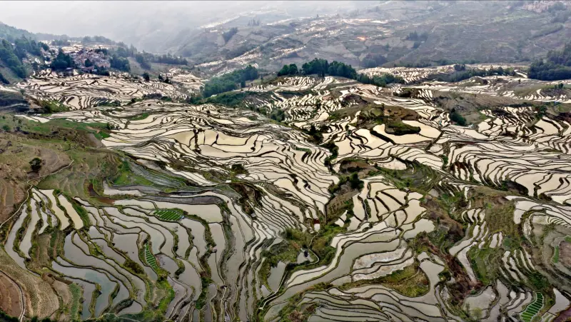 航空插头与圆形连接器在严苛环境下的防护等级对比分析
