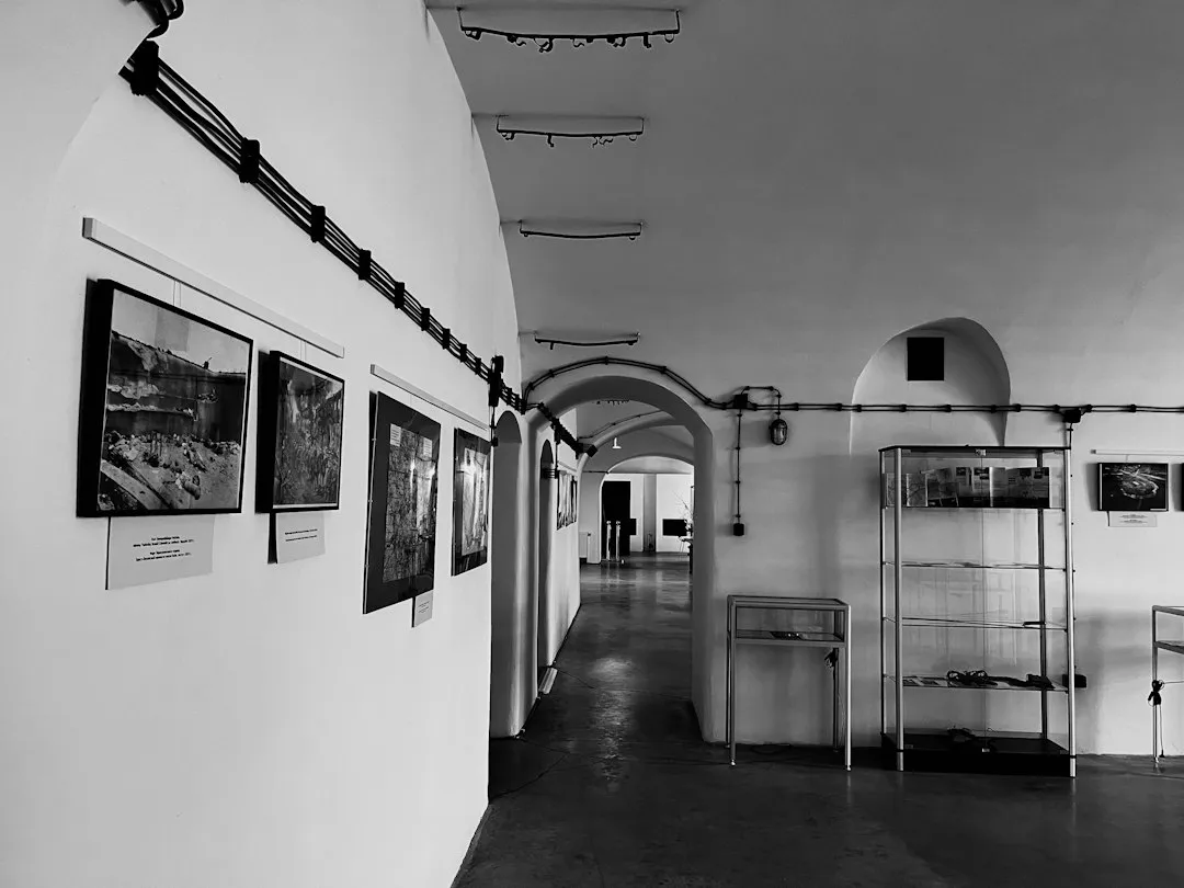 传感器连接器定制方案：为自动化设备定制可靠圆形连接器案例